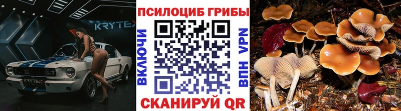 мега ТОР  Берёзовский  Галлюциногенные грибы ЛСД  купить  сайты 